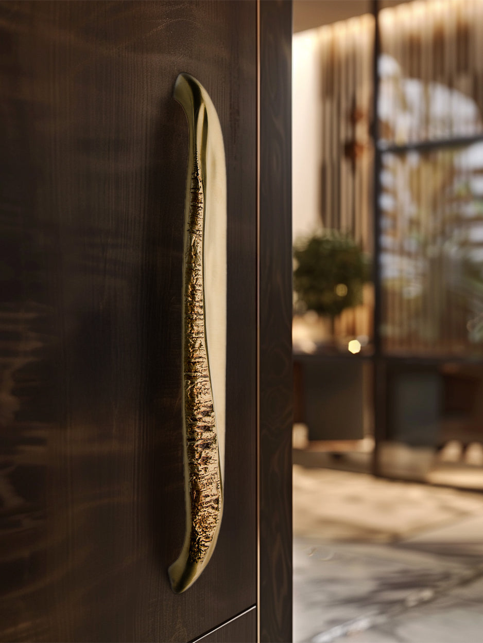Close-up of a gold handle on a dark wooden door with a blurred outdoor background